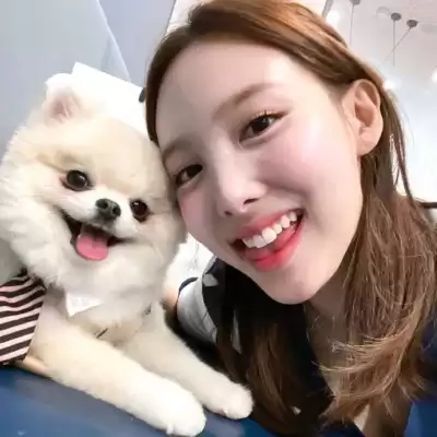 甘芸芸
